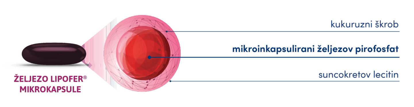 Novalac sastav – mikrokapsule željeza Lipofer® za bolju apsorpciju.
